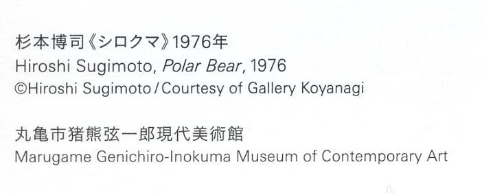 Postcard Hiroshi Sugimoto Polar Bear