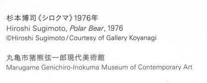 Postcard　Hiroshi Sugimoto　Polar Bear