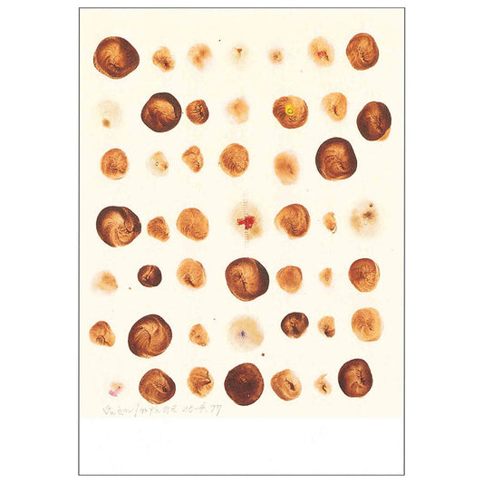 Postcard Hawaiian Soil and Small Ladders