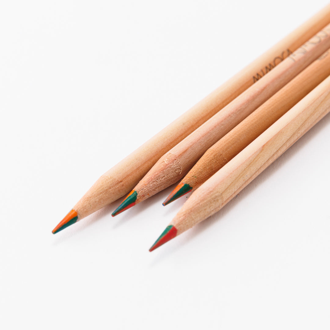 4-Color Pencils – It takes courage to create a painting