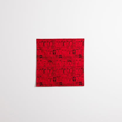 NUNO for MIMOCA  Handkerchief  25 Faces