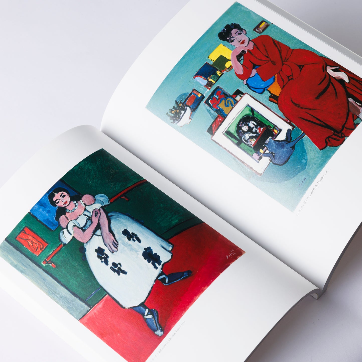 Art Book Genichiro Inokuma