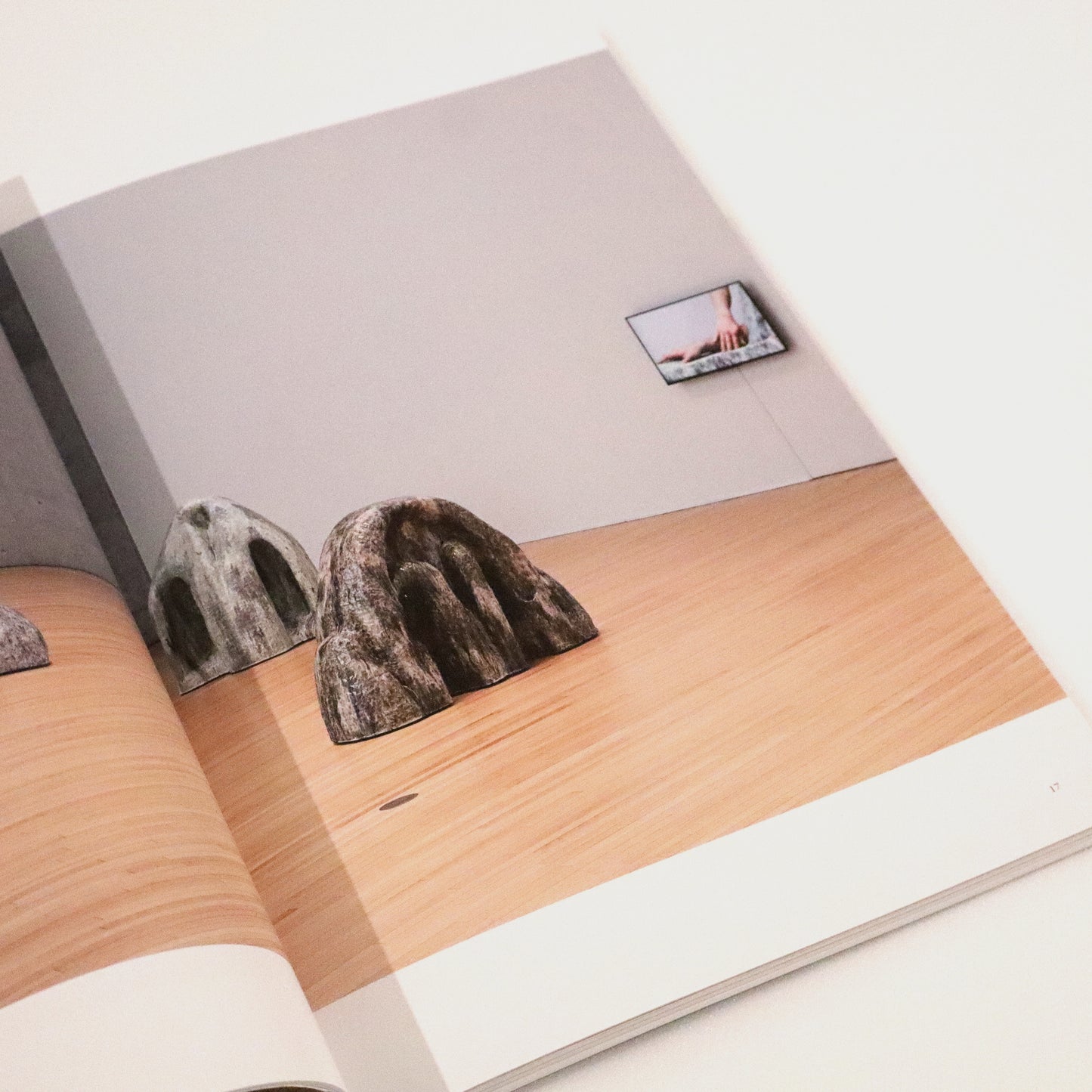 Catalog: Commemorating the 1st “MIMOCA EYE” Grand-prize Winner Akane Saijo - Double Touch