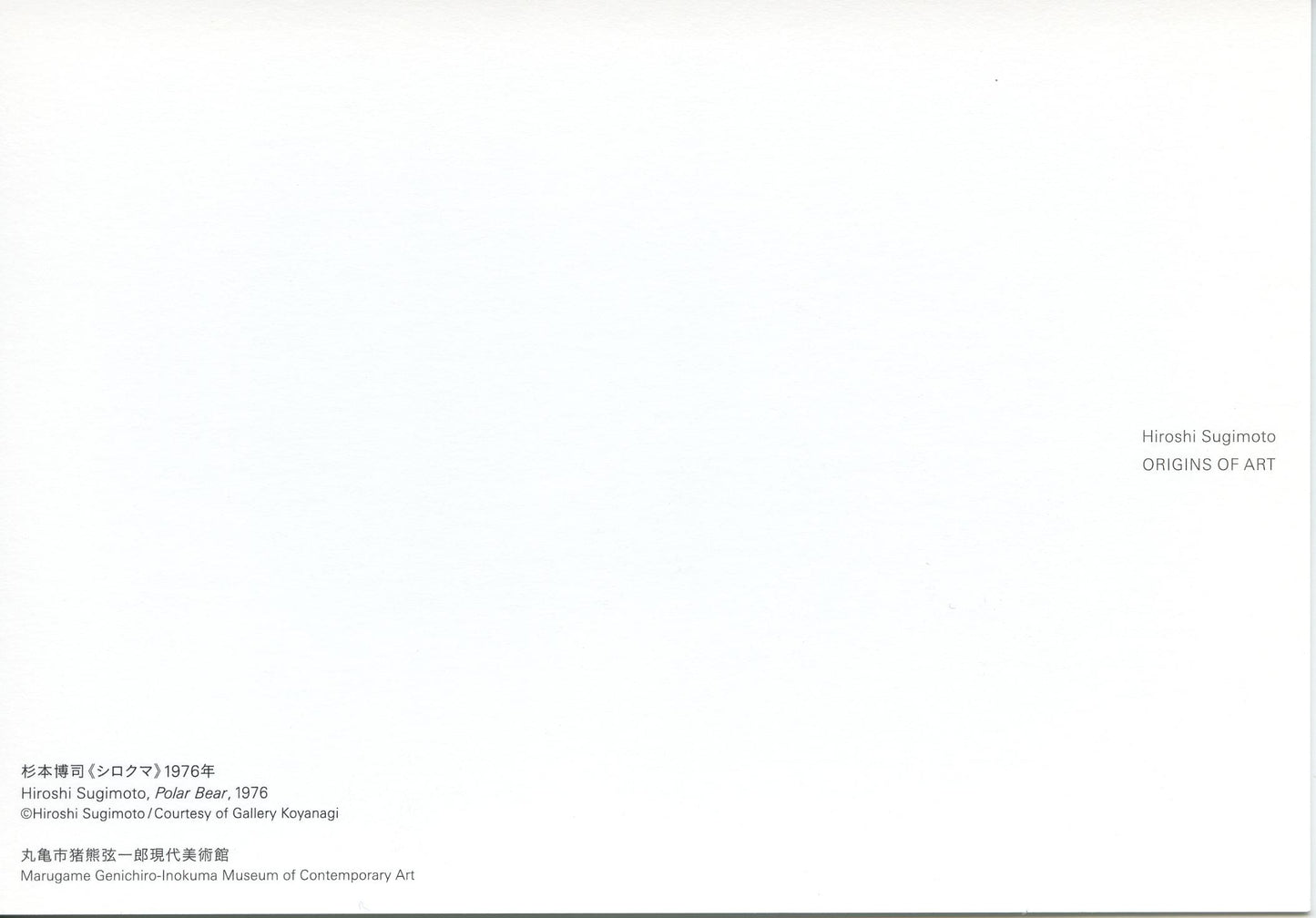 Postcard　Hiroshi Sugimoto　Polar Bear