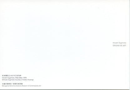 Postcard　Hiroshi Sugimoto　Polar Bear