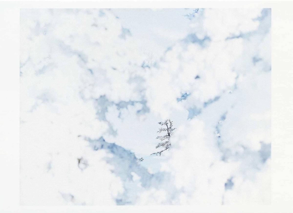 Postcard　Risaku Suzuki　White 09, H-343	