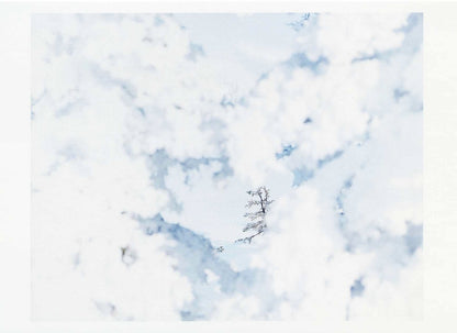 Postcard　Risaku Suzuki　White 09, H-343	
