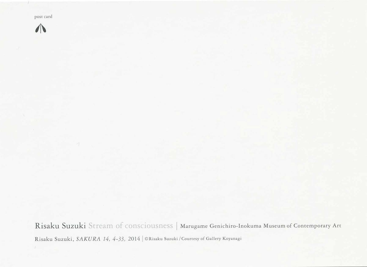 Risaku Suzuki – Postcard – SAKURA14,4-33