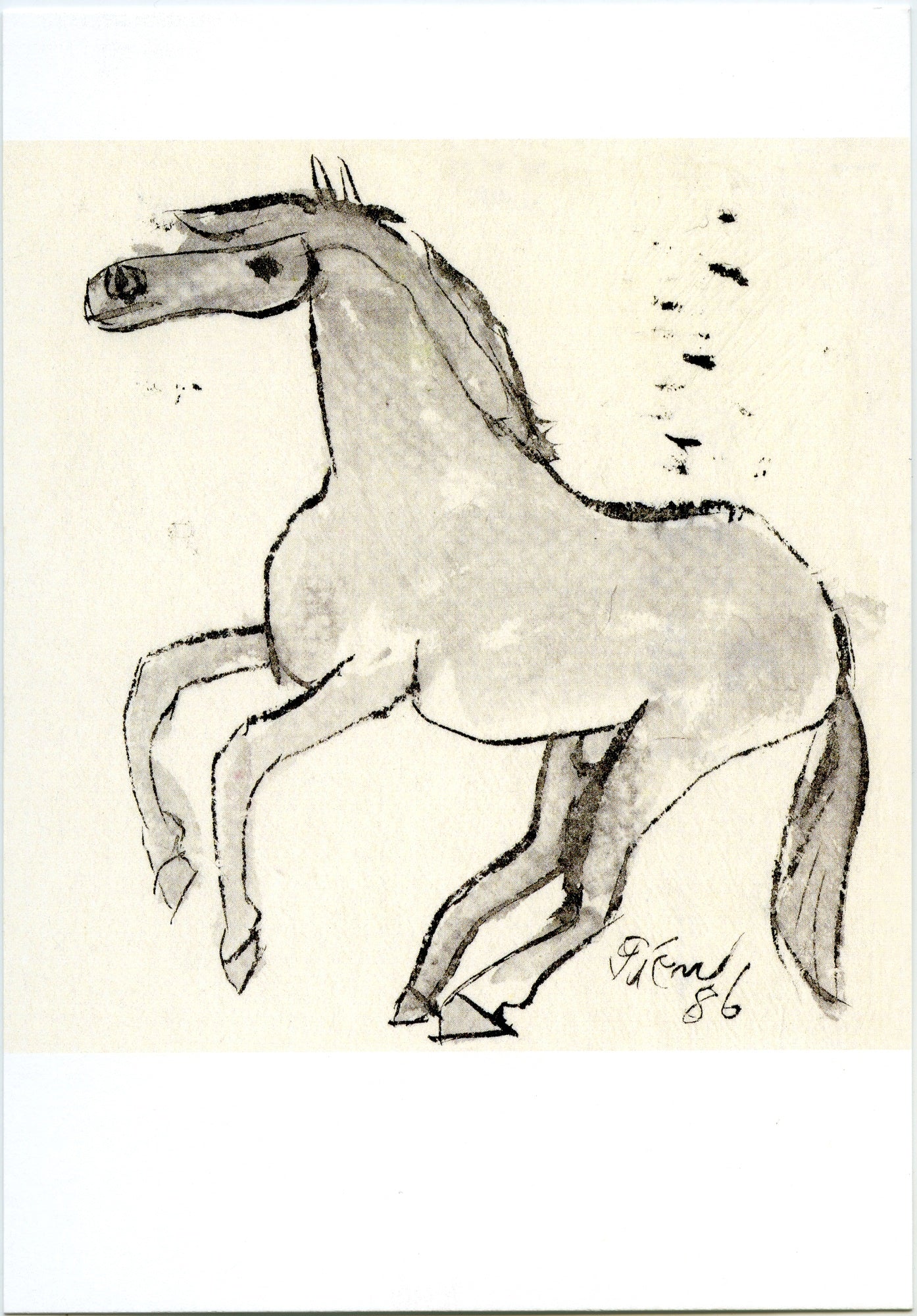 Postcard Colt