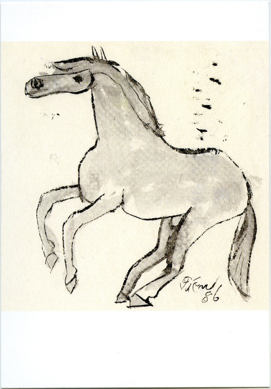 Postcard Colt
