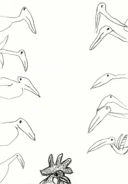 Postcard Fowl and Birds